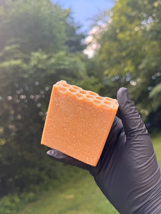Hand wearing a black glove holding a tan bar of soap with a blurred green outdoor background
