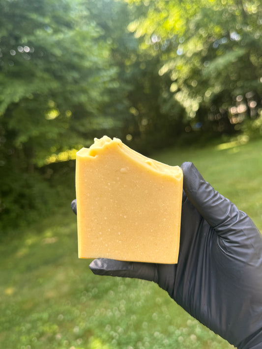 Gloved hand holding an orange bar of soap with a tree background