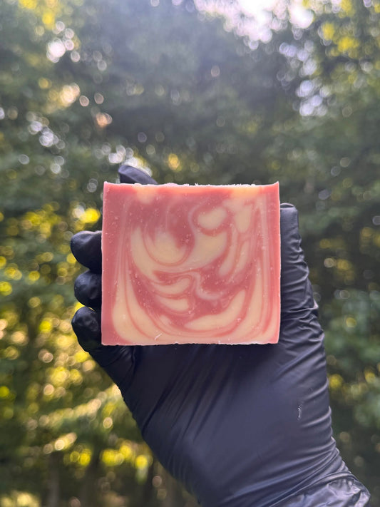 Hand holding a pink and white swirled soap bar with a tree background