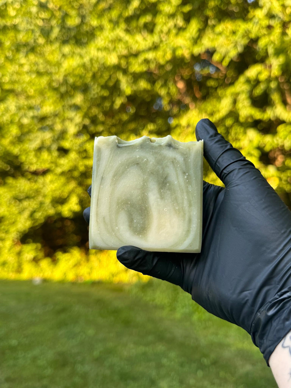 A gloved hand holding a light green and white swirled soap bar with many trees in the background. 