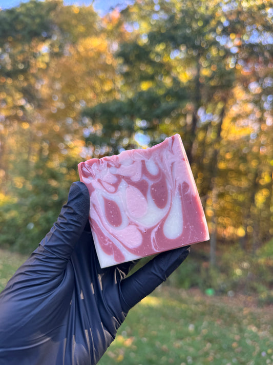 A gloved hand holding a dark pink, light pink, and white swirled bar of soap with an outdoor autumn background. 